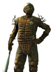 Diamond City Guard Meme Template