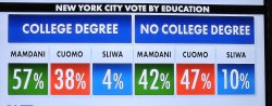 NYC voters by education survey 2025 Meme Template