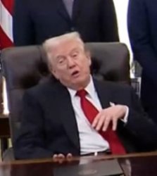 Trump at his best Meme Template