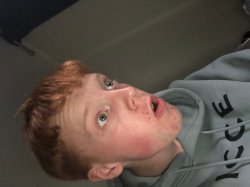 Neuron activation Meme Template