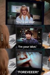 I'm Your Idiot Meme Template