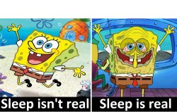 sleep isn't real vs sleep is real Meme Template