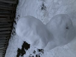 Feelin’ fresh Meme Template