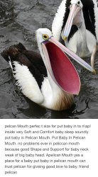Put Baby in Pelican Mouth Meme Template