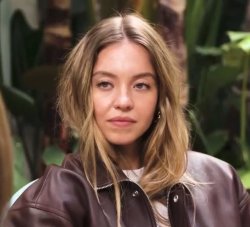 Sydney Sweeney Stare Meme Template