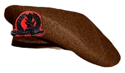 idf hat beret Meme Template