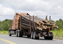Log truck Meme Template