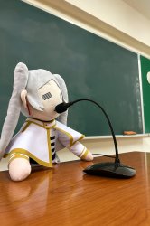 Frieren se tenia que decir Meme Template