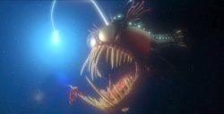 victim from nemo Meme Template