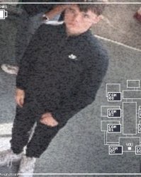 Emosnake fnaf Meme Template