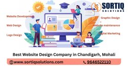 Best IT Company in Chandigarh Meme Template