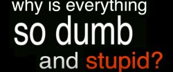 why is everything so dumb and stupid Meme Template