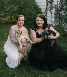 Scared dog Meme Template