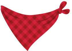 Red Bandana Meme Template