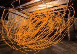 Dogday-015 Meme Template