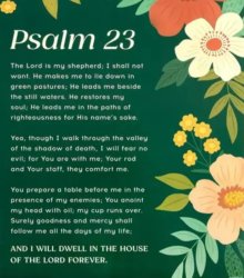 Psalm 23 Meme Template