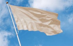 Beige flag Meme Template