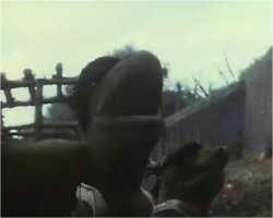 Chuck the Frog Meme Template