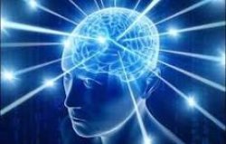 big brain Meme Template