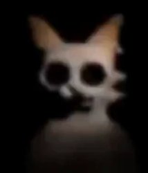 car the cat death stare Meme Template