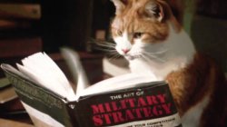 Cat Book Military Strategy Meme Template