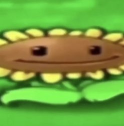 Pvz sunflower Meme Template