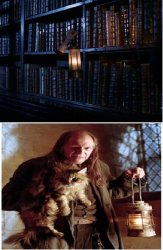 Restricted Section Harry Potter Meme Template