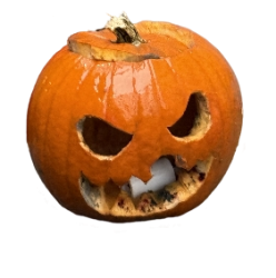 Wet Pumpkin from Falkenberg Meme Template