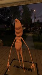 Marcus the Worm Meme Template