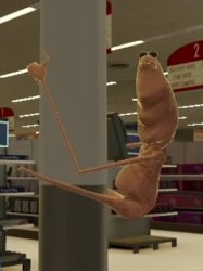 Marcus the Worm Meme Template