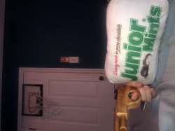 JUNIOR MINTS WITH A GUN AHHH- Meme Template