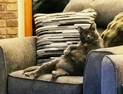 Oscar the fat guy Meme Template