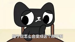 whatsapp Meme Template