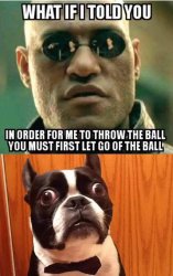 What if I told you Meme Template