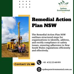 Remedial Action Plan NSW Meme Template