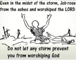 Job rose from the ashes and praised God Meme Template