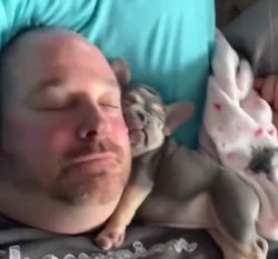 guy and puppy asleep Meme Template