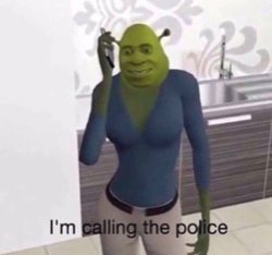 I’m calling the police Meme Template