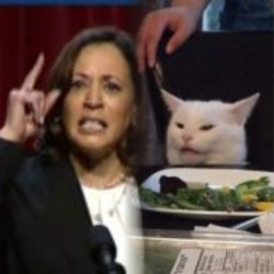 Kamala and Smudge Meme Template