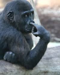 Thank you for being my friend Meme Template