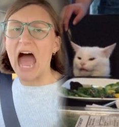 Liberal and Smudge Meme Template