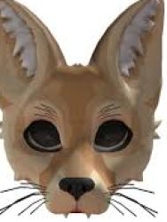 Fox mask! Meme Template