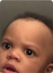 The best nap ever Meme Template