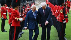 See this bull shit Meme Template