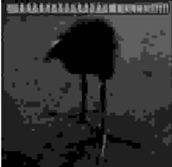 DAAAAAAAAMNN low quality Meme Template