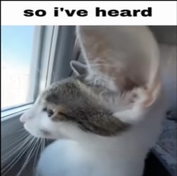 So iv heard Meme Template