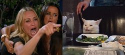 Woman argues with cat Meme Template