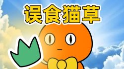 Can't You don't Meme Template