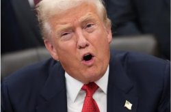 Taco man Meme Template