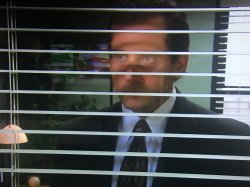 Micheal Scott behind blinds Meme Template